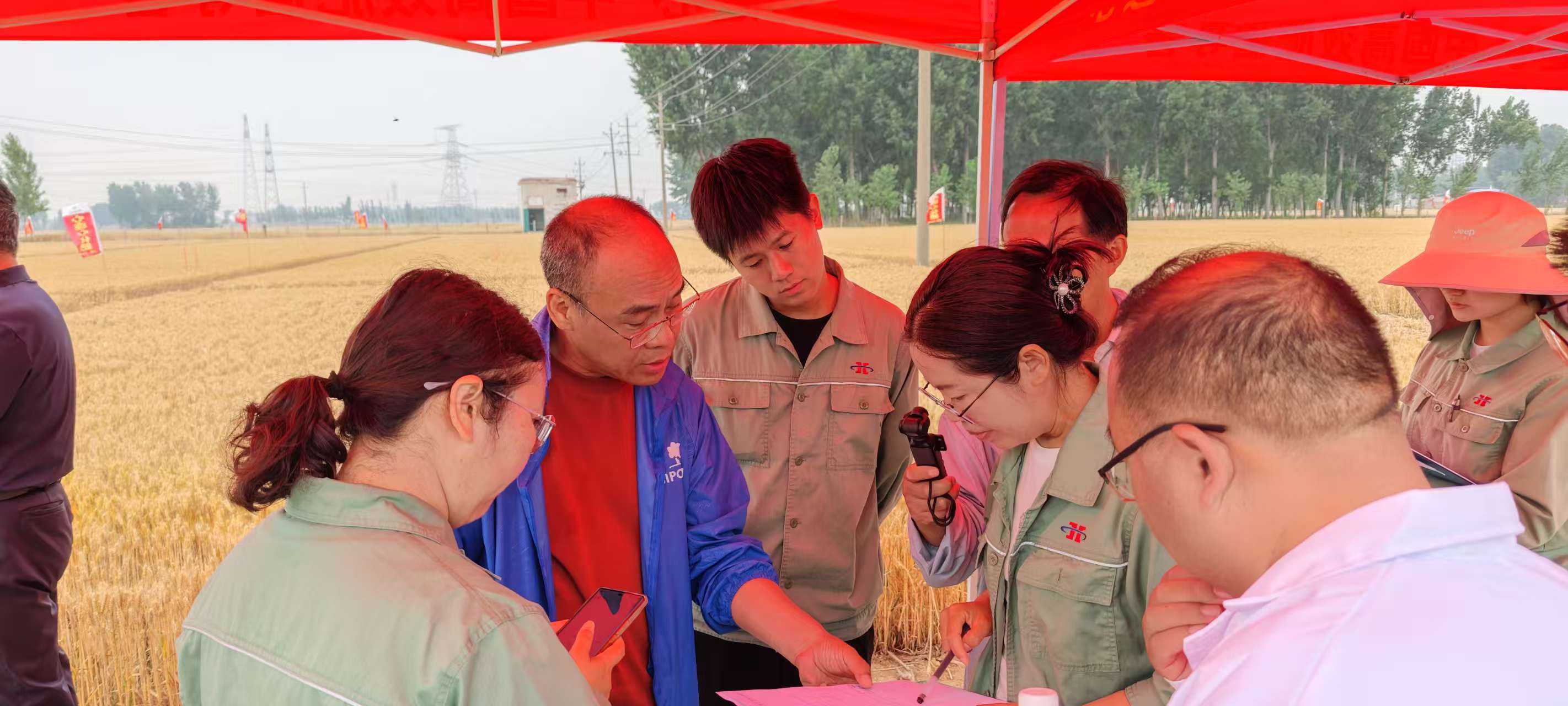 高溫旱情下科技賦能農業(yè)！心連心集團主持的兩個(gè)“十四五”課題交出亮眼成績(jì)單