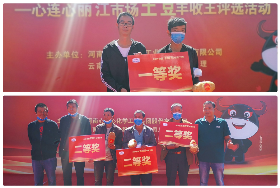 喜迎豐收，薯王爭霸！——心連心麗江市場(chǎng)土豆豐收王評選活動(dòng)成功舉行